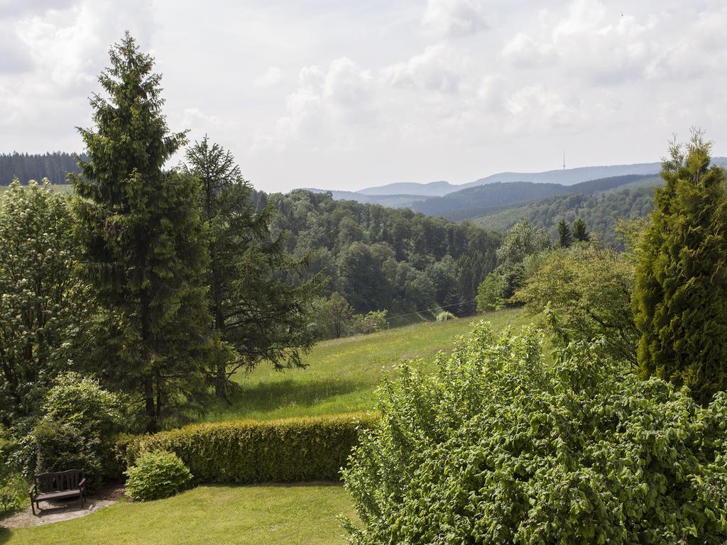 Pension Haus Brieden Winterberg Exteriör bild